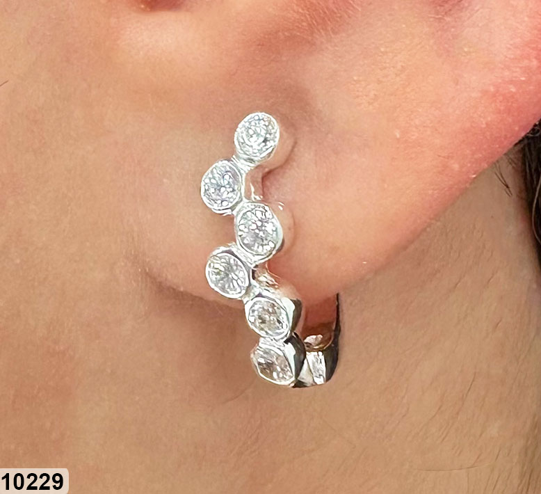 15 AR 10229 BL